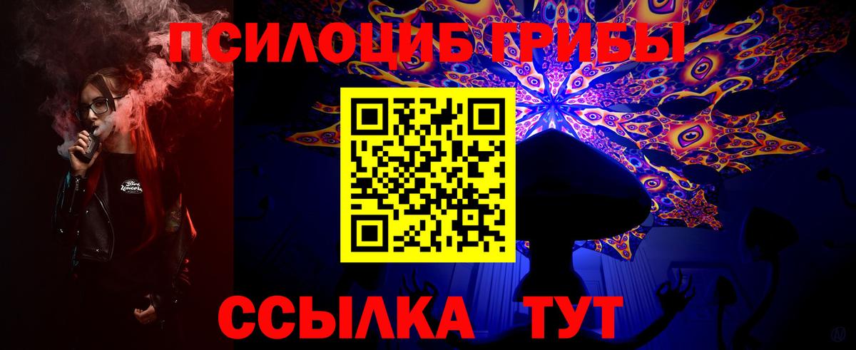 Псилоцибиновые грибы Cubensis Сальск